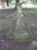 image of grave number 353812